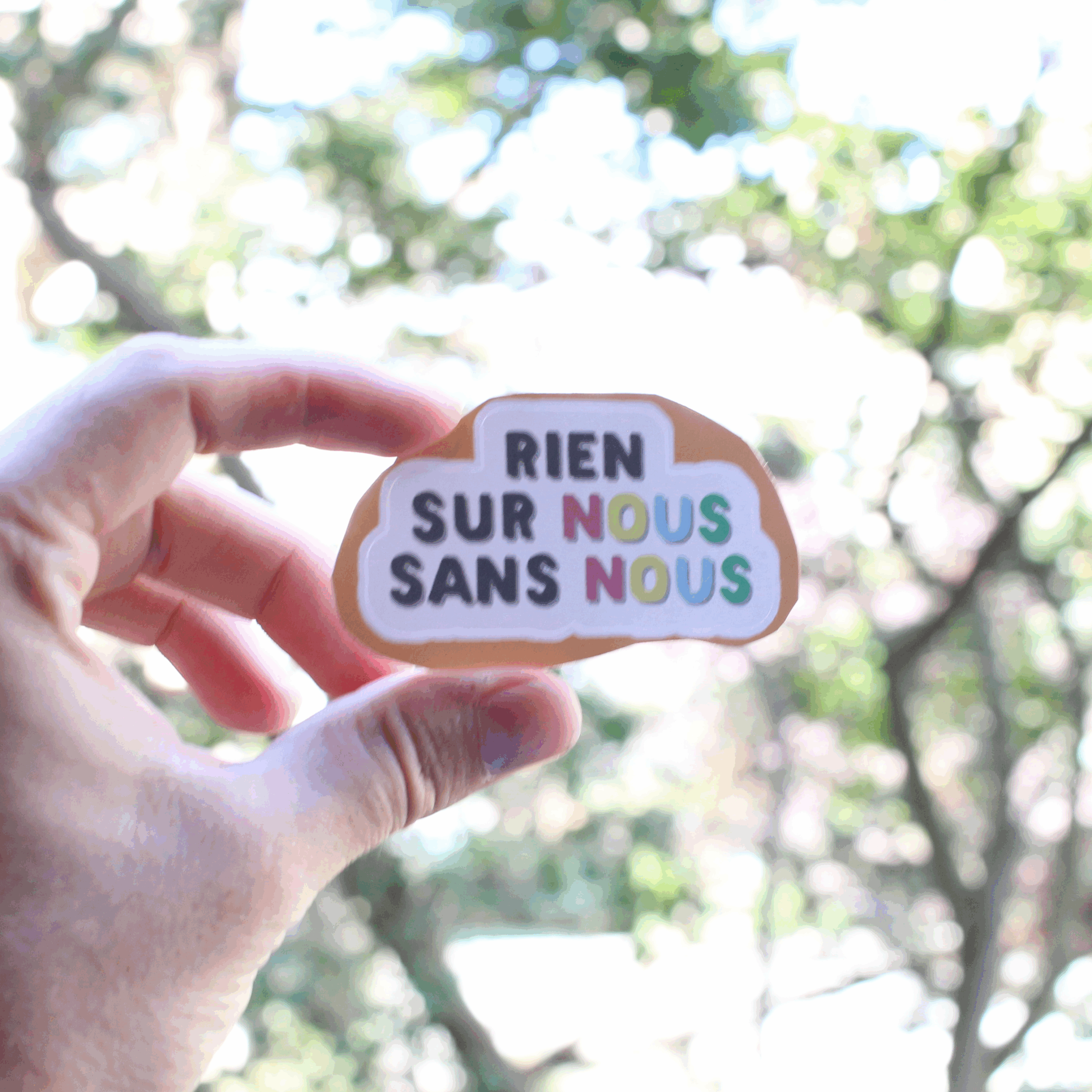 Photo du sticker. Un texte « Rien sur nous sans nous » au couleur du drapeau handi : la majorité du texte est en gris sombre, et les lettres de « nous » utilisent les quatre autres couleurs du drapeau : rouge pastel, jaune, bleu clair, et vert.